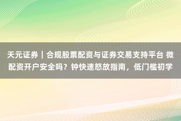 天元证券｜合规股票配资与证券交易支持平台 微配资开户安全吗？钟快速怒放指南，低门槛初学