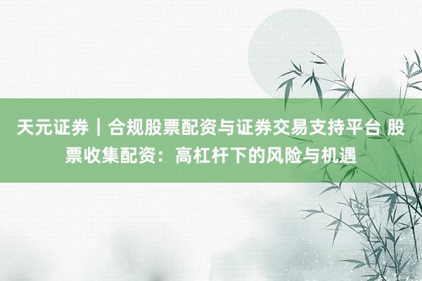 天元证券｜合规股票配资与证券交易支持平台 股票收集配资：高杠杆下的风险与机遇