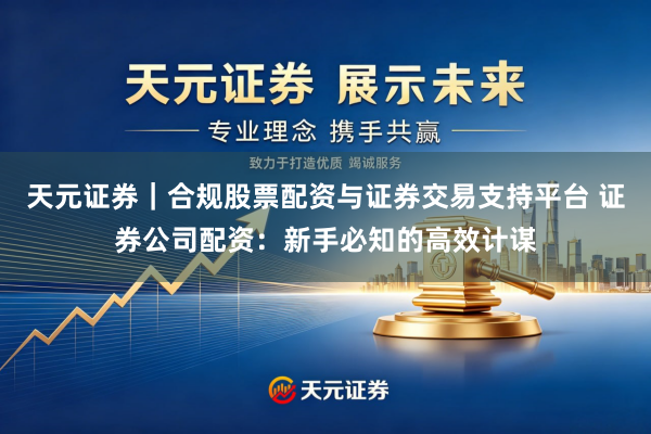 天元证券｜合规股票配资与证券交易支持平台 证券公司配资：新手必知的高效计谋